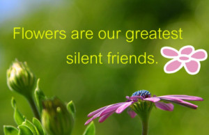 Flowers Are Our Greatest Silent Friends