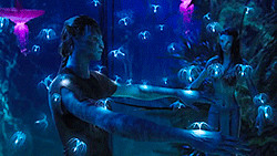 avatar movie quotes source http okmoviequotes com tag avatar quotes