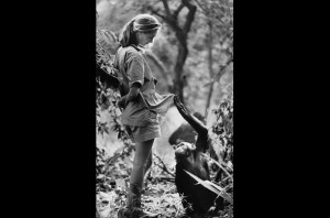 Louis Leakey And Jane Goodall 10q_jane_goodall_02.jpg