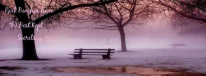 9412-park-benches-have....jpg