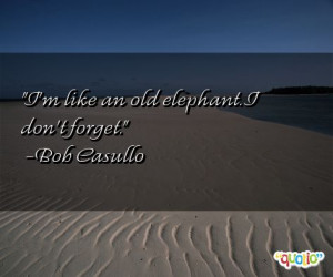 like an old elephant . I don't forget .