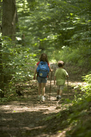 How to Enjoy a Hocking Hills Hiking Trip with Kids
