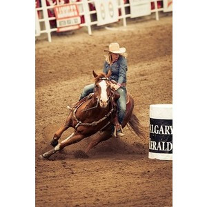 Horse, Barrel Racing, and Rodeo Quotes.