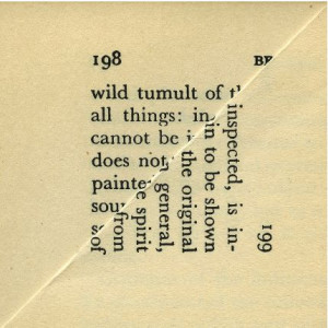 ... Realm of Possibility, Erica Baum, Wild Tumult, 2009 (Dog ear series