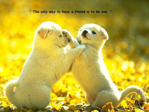 The only way to have a friend is to be one