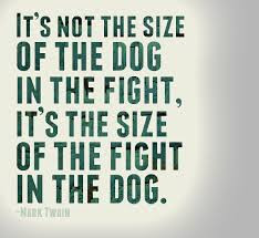 ... of the dog in the fight, it’s the size of the fight in the dog