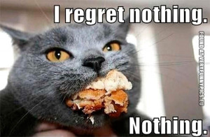 funny-pictures-i-regret-nothing-cat.jpg#funny%20quotes%20about ...