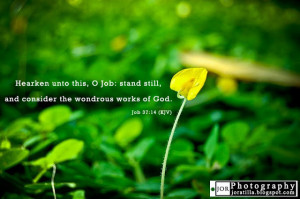 Wondrous works of God Bible Quotes Job 37:14