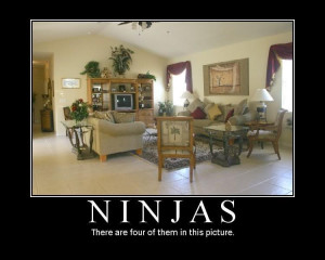 see them i think photo ninjas.jpg