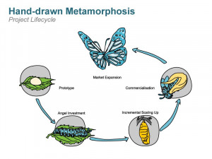 powerpoint-illustration-hand-drawn-metamorphosis-diagram.jpg