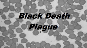 Black Death Bubonic Plague