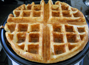 Funny Quotes Contact Us DMCA Notice