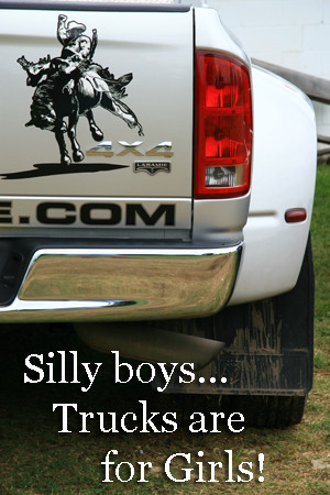 Silly boys...Trucks are for girls!