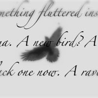 raven bird photo: Soot Black Bird Reborn c3dc.jpg