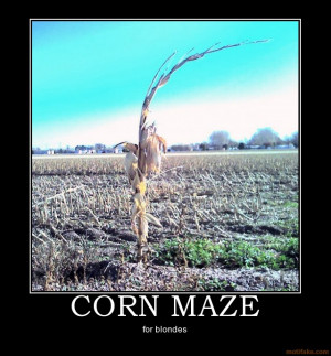 corn-maze-corn-maze-for-blondes-demotivational-poster-1262901341.jpg