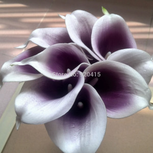 purple lily flowers promotion