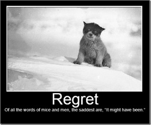 Regret Of all the words of mice and men the saddest are “It might ...