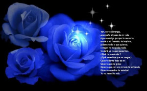 Blue Rose Quotes Blue rose quotes blue rose