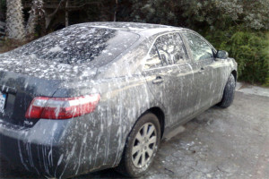 Bird poo does not destroy your car's paint... at least not by itself