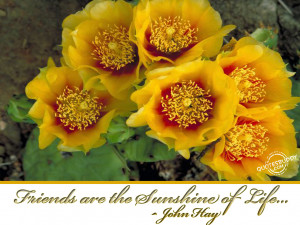 Friendship Quotes Graphics, Pictures - Page 6