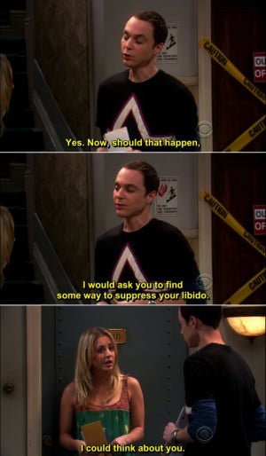 The Big Bang Theory Quote-25