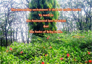 The Fundamental Laws Of Nature And Basics Of Living In Life