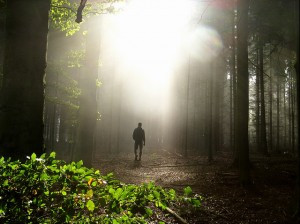 man walking toward the light in the woods