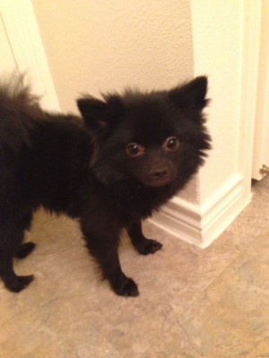 Found on Uploaded by user