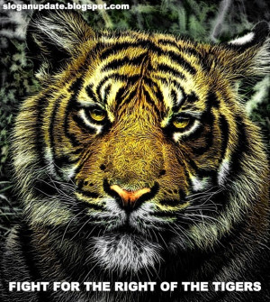 Save Tigers Slogans