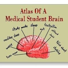 Inspirational Quotes For Medical School Students ~ Medicine on ...