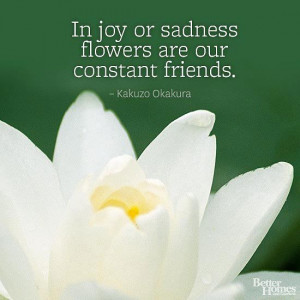 Flower Quotes