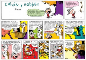 Calvin And Hobbes Quotes Principles