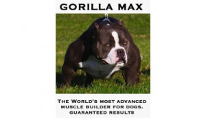 top sellers bullymax 1 year supply bully max provides the following