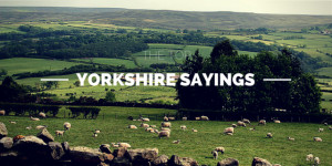the top yorkshire sayings and what they mean