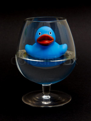 Funky Rubber Duck Royalty