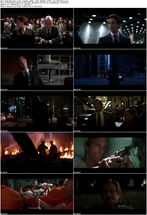 The Dark Knight (2008) 720P BRRIP XVID AC3-MAJESTiC