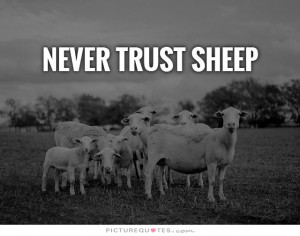 Sheep Quotes