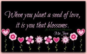 when you plant a seed of love