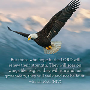 LORD will renew their strength. They will soar on wings like eagles ...