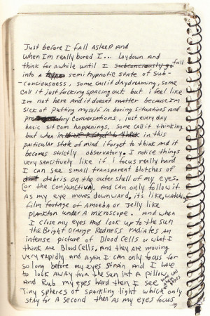 Kurt Cobain diary