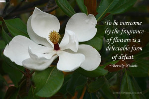 ... The Fragrance Of Flowers Is A Delectable Form Of Defeat - Flower Quote