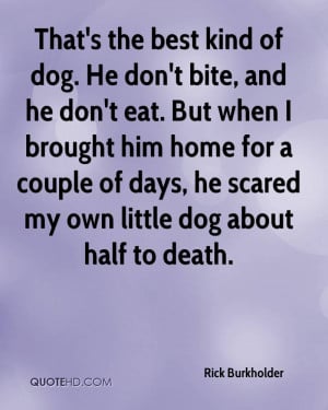 Quotes About Dogs Dying