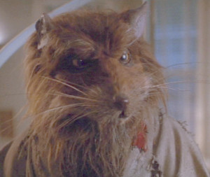 HEATHER’S TOP TEN MOVIE RODENTS