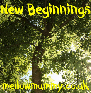 Mellow Mummy: January 2014 : Taking life as it comes...