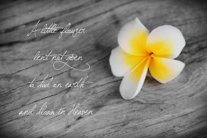 Sweet Words, Loss Quotes, Kids Stuff, Baby Loss, Little Flower, Sweets ...