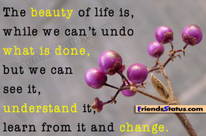 understanding life quotations