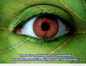 Green nature eyes quote on nature