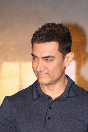 Aamir Khan Quotes. This most influential people's quotes bucket ...