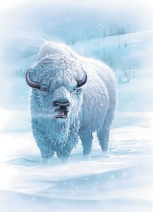 White Buffalo Image