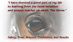 having worked with a lot of horses over a life long career i have ...